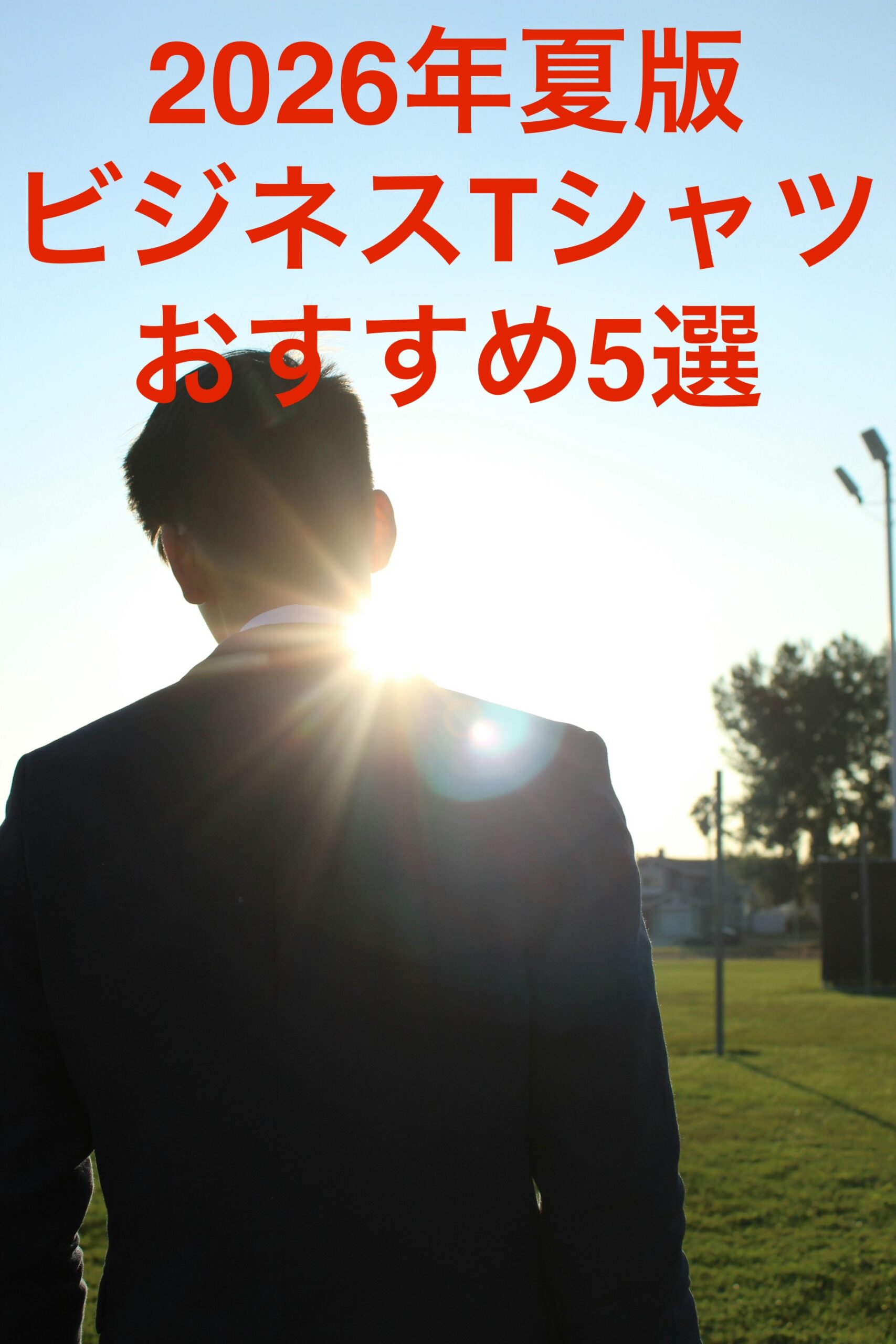 クールビズ向けビジネスTシャツ比較